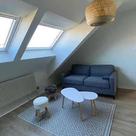 Apartman Hypercentre Colmar